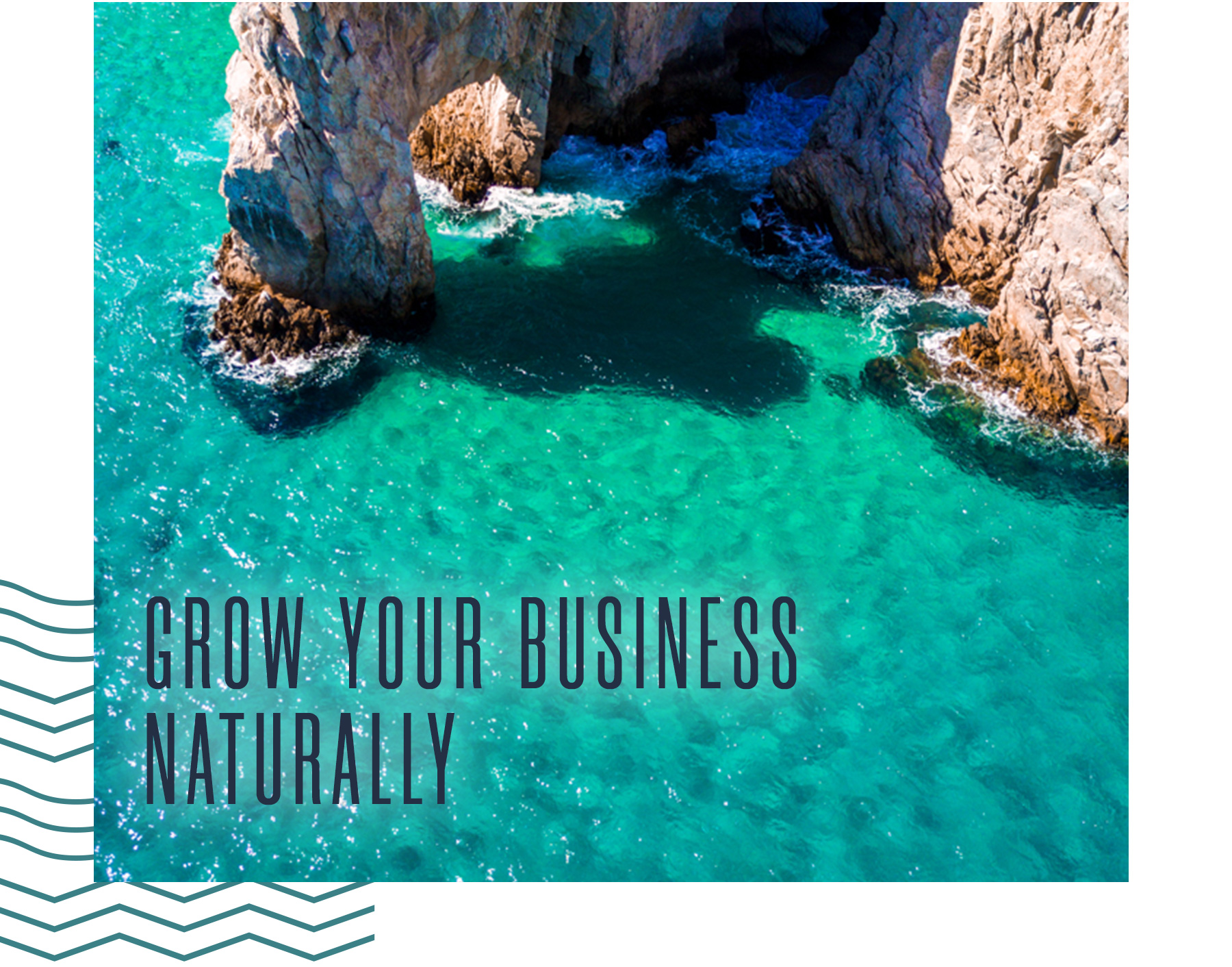 Grow Your Business Naturally